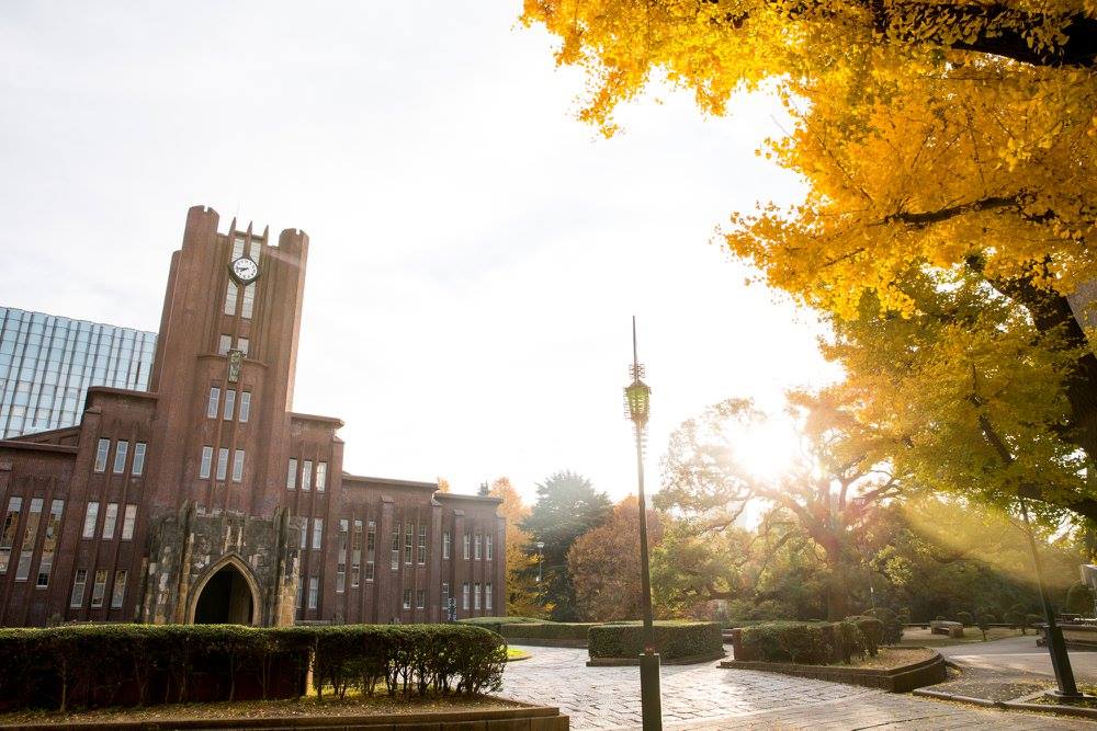 Đại học Tokyo 