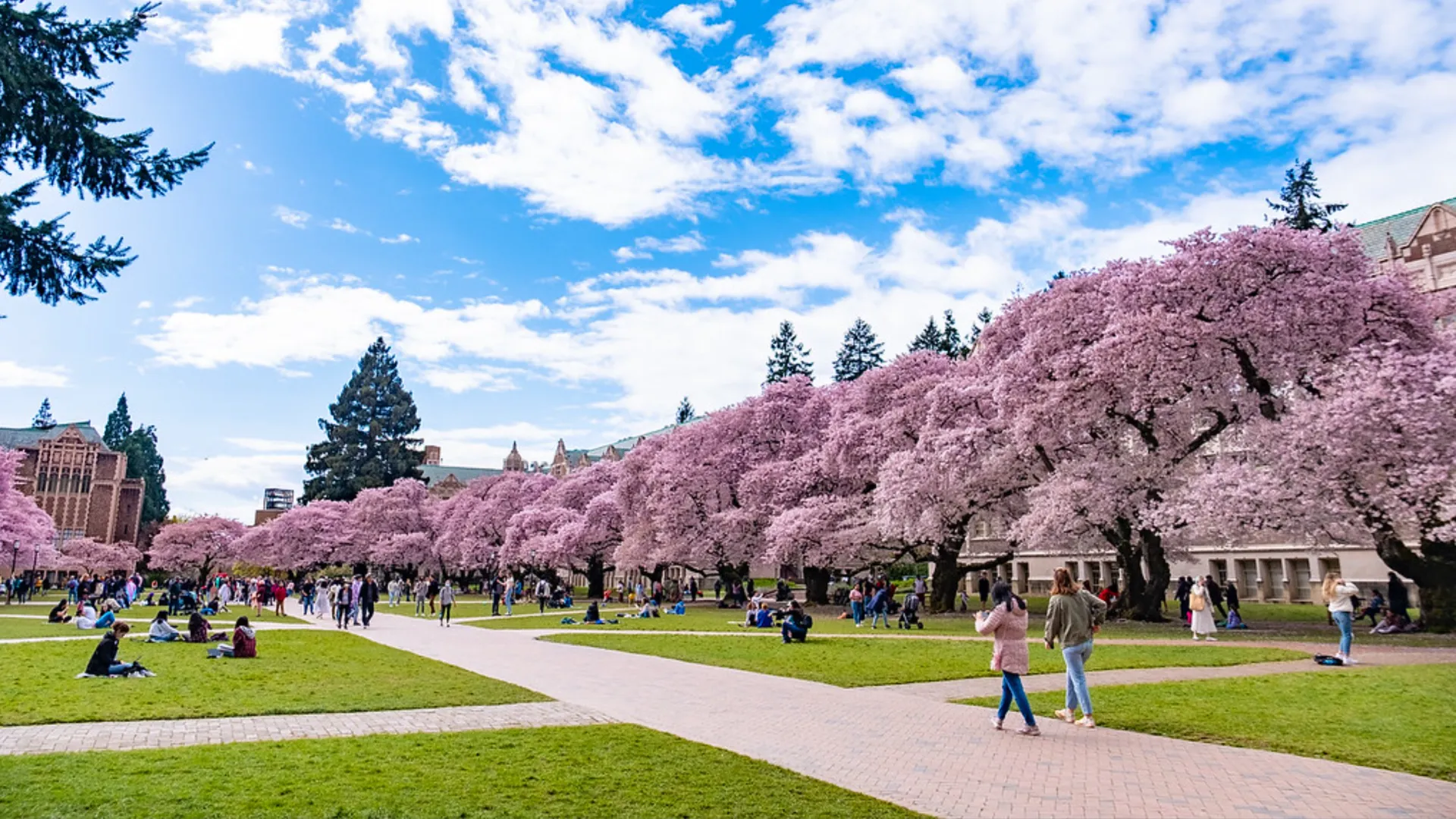 Đại học Washington