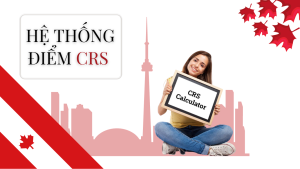 Hệ thống CRS