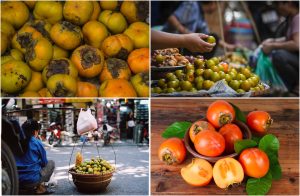 Persimmons-Hanoi's Autumn