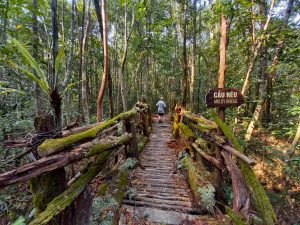 Phu Quoc National Park-Explore Phu Quoc