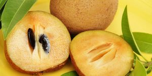 Sapodilla