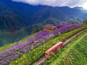 Muong Hoa Valley
