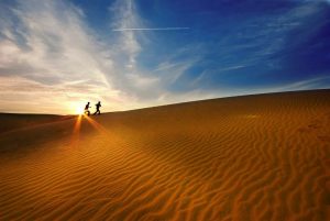 Red Sand Dunes