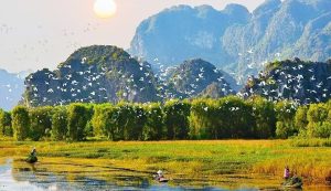 Van Long Nature Reserve-Ecotourism in Vietnam