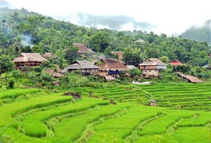 Don Village