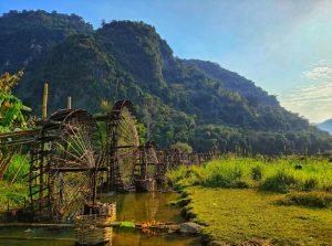 Cham Stream