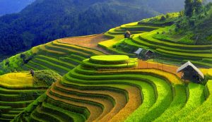 Mu Cang Chai Travel Guide