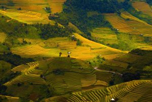 Lim Mong Valley and Lim Thai Valley-Mu Cang Chai Travel Guide