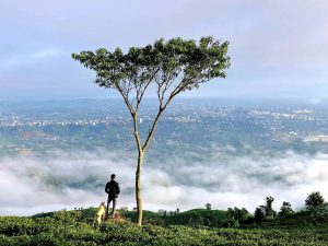 Dai Binh Mountain