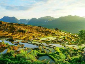 Pu Luong Travel Guide