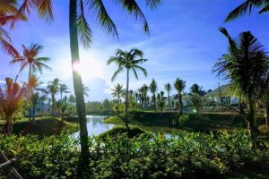 Tu Nghia Coconut Beach