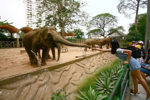 Saigon Zoo and Botanical Gardens