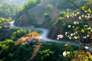 Dien Bien Travel Guide