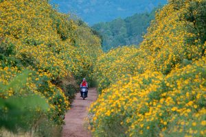 Da Lat