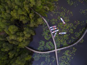 Tân Lập Floating Village(Long An)