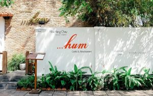 Hum Vegetarian-vegetarian restaurants