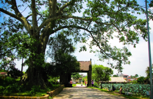 Village Culture-Vietnamese National Culture
