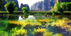Vân Long Wetland Nature Reserve