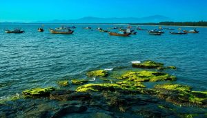 Green Tourism in Quảng Nam