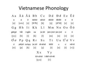 Vietnamese language