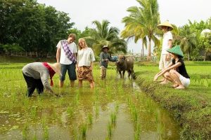 Agricultural Tourism